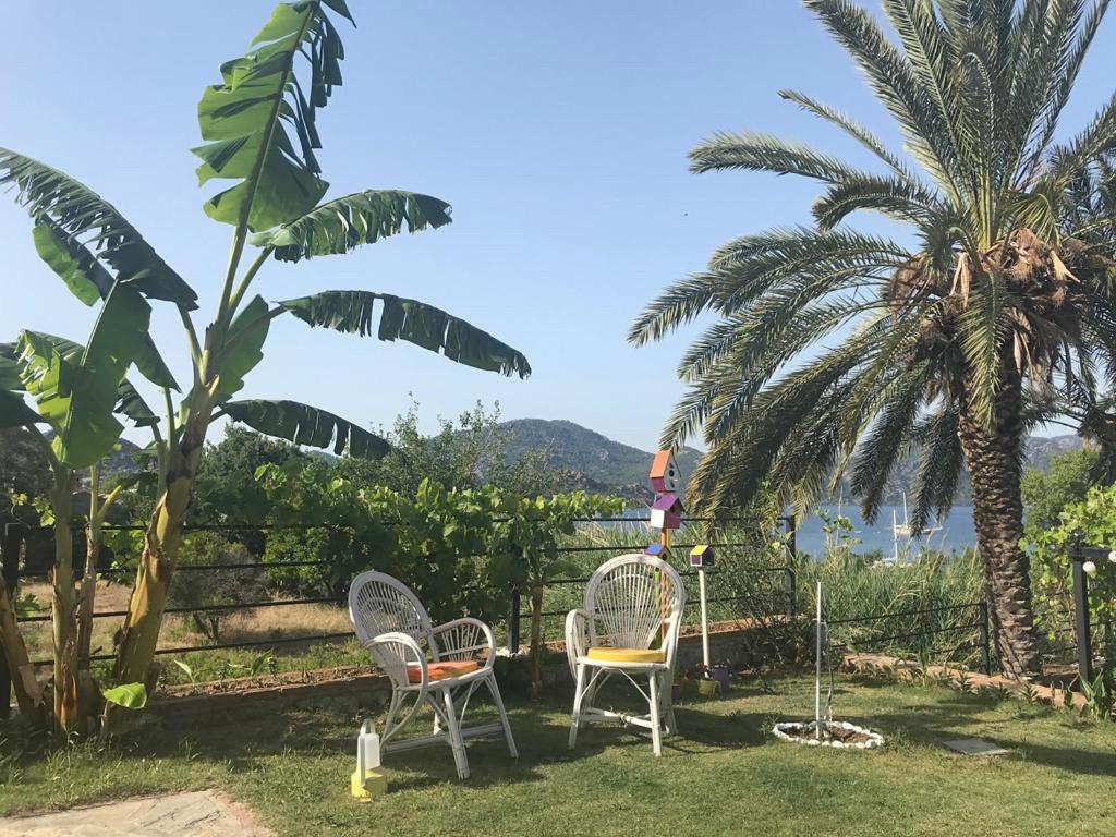 Gala Selimiye Selimiye (Aegean) Exterior foto